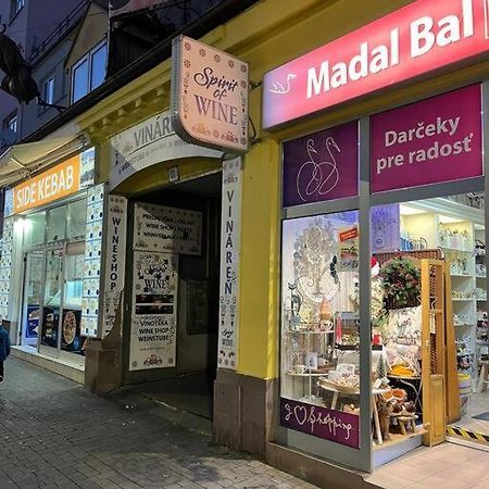 브라티슬라바 Bada Bing Plaza 아파트 외부 사진